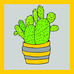 Green nice cactus in the pot