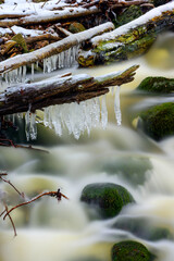 Brook in winter forest landscape, long exposure