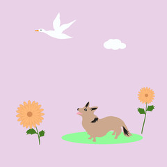 Flying wild duck, little corgi looks at a bird, daisies - vector. Spring mood. Life of animals .