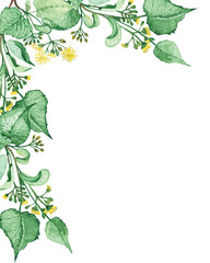 Watercolor hand painted nature herbal plant corner frame with yellow lime blossom flowers and green leaves on branches bouquet on the white background for invite and greeting card with space for text