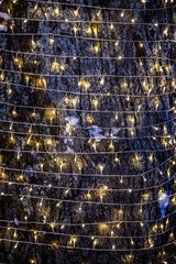 The tree trunk is entwined with a luminous garland. Decoration for Christmas.