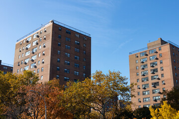 Basic Brick Public Housing Skyscrapers with Colorful Autumn Trees in Astoria Queens New York