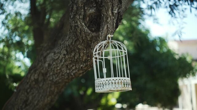An empty bird cage, hanging from a tree, outside a house. Handheld slow-motion clip.