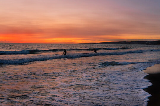 Surfisti