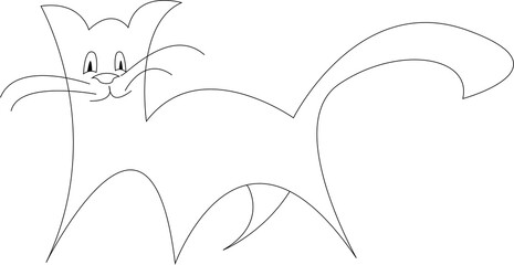 Mustached black and white cat