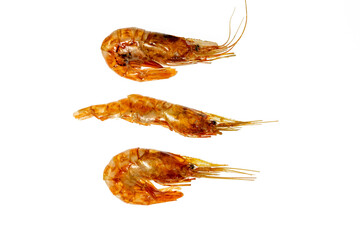 dried shrimp with light showing outside