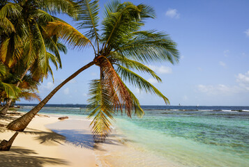 Fototapeta na wymiar Palm trees and pristine beaches on the San Blas Islands in Panama