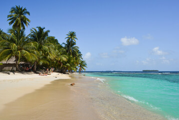 Palm trees and pristine beaches on the San Blas Islands in Panama