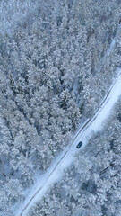 snow-covered road in the middle of a winter forest tops of trees in the snow from a drone