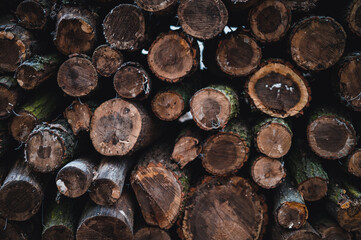 Wooden natural sawn logs as background, top view, flat lay. Wood texture.