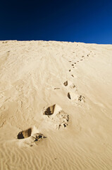 Footprints on moving dunes at sunny day, Slowinski National Park, Leba. Sand and blue sky