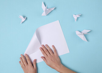 Female hands fold origami doves on a blue background. Top view