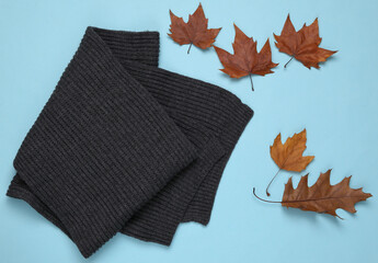 Scarf and dry fallen leaves on a blue background. Autumn time
