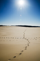 Moving dunes at sunny day, Slowinski National Park, Leba. Sand and blue sky
