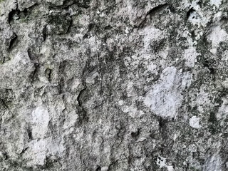 Gray Stone grunge Surface Background. Old stone.A dirty old wall with cracks and peeling paint.