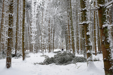 femme seule dans un chemin de forêt enneigé