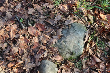 stone and red foliage
