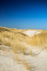 Moving dunes at sunny day, Slowinski National Park, Leba. Sand and blue sky