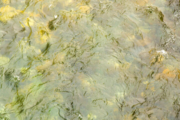 River water background, water texture