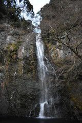 waterfall in the forest