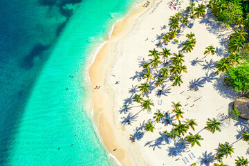 Aerial drone view of the beautiful small island and palm trees of Atlantic Ocean. Cayo Levantado island, Samana, Dominican Republic