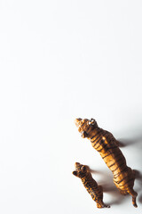 Toy tiger. Isolated on white background.