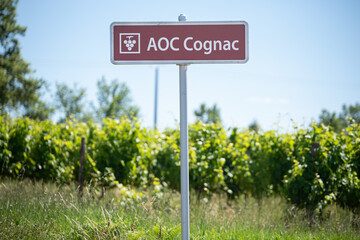 FRA - ILLUSTRATION AOC COGNAC