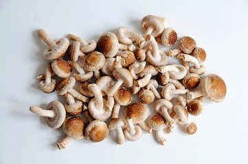 shiitake mushrooms