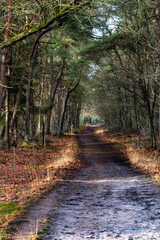 empty path with sunbeams across it
