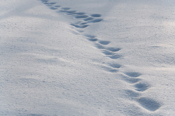 Snow cover with floor covered with footprints