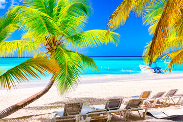 Fototapeta na wymiar Palm beach on tropical idyllic paradise Island. Vacation and travel concept. Sunbeds and Palms, Saona Island, Dominican Republic