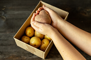 Female hands holding a heart-shaped ugly vegetable potato over a box filled with potatoes. square,...