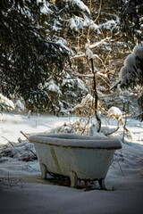An old bathtub left in the forest in winter time