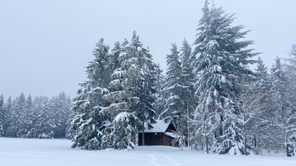 Schneeschuhwandern am Klippeneck Spaichingen