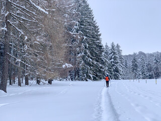Schneeschuhwandern am Klippeneck Spaichingen