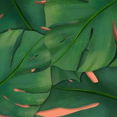 Illustration botanical, Monstera leaf on orange for background