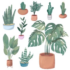 Illustration house plants collection in white background 
