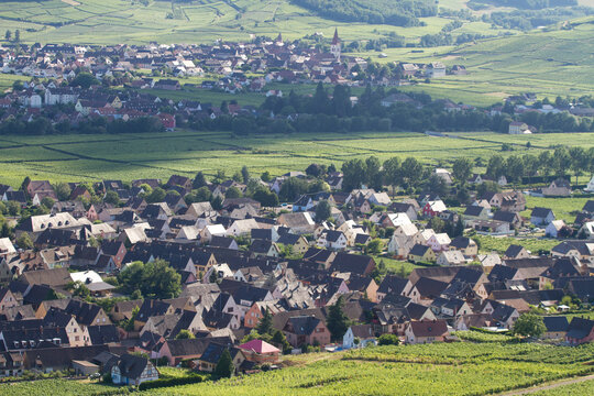 Sigolsheim 이미지 찾아보기 340 스톡 사진, 벡터 및 비디오 Adobe Stock