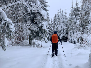 Schneeschuhwandern am Klippeneck Spaichingen