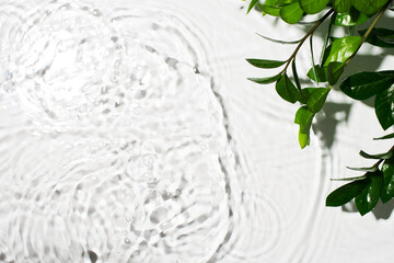 Organic cosmetic backdrop clean transparent water splashes with green leaf, sunlight on white...