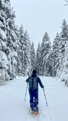 Schneeschuhwandern am Klippeneck Spaichingen
