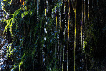 water cliffs and moss close-up