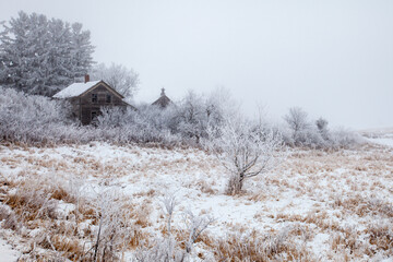 Obraz premium Old abandoned house surrounded by frost covered trees and bushes