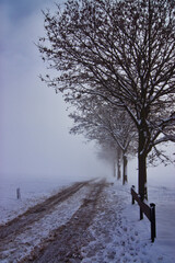 Weg in den Winternebel