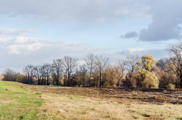 Access to the tributary of the Danube near the city of Novi Sad, Serbia 