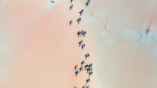 Aerial view above a camel cavalcade riding over the Arabian desert, sunny day, in Saudi Arabia - top down, drone shot