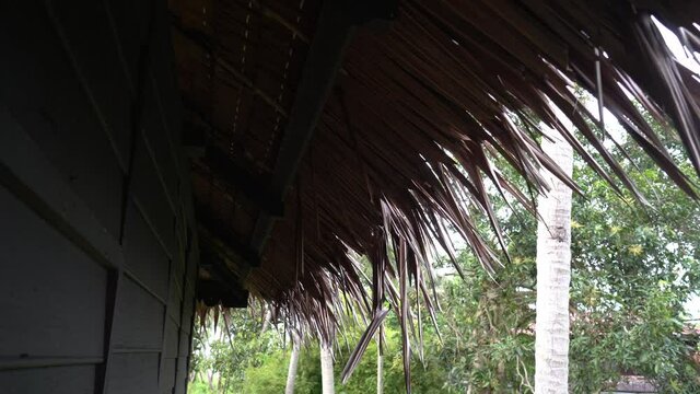 Rooftop of Malays kampung house made of lidi atap.