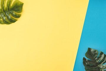 Minimal Flat Lay Background decorated with two leaves of philodendron.