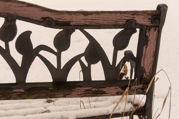 Bench in snow with tulips