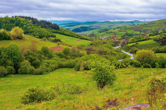 carpathian countryside in spring. beautiful rural landscape in mountain. wet grassy meadow on fresh morning. road winding through valley to village. distant ridge in the clouds